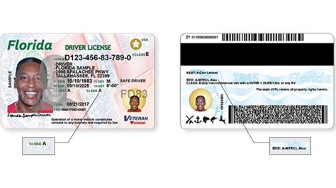 Florida driver’s licenses, ID cards getting a makeover