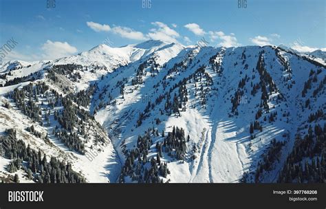 Snow Forest Mountains Image & Photo (Free Trial) | Bigstock