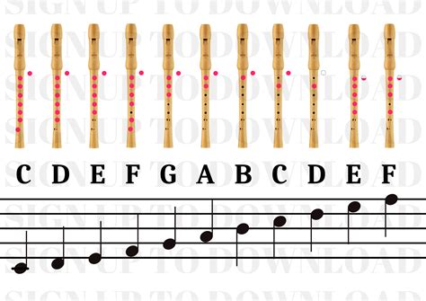 Notes On The Recorder - Awesome Display Chart (KS1/2)