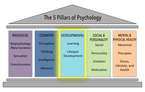 The Developmental Domain | Introduction to Psychology