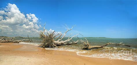 Panorama, Boneyard Beach, Big Talbot Island State Park, Florida Photograph by Felix Lai - Fine ...