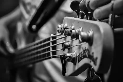 Free Images : rock, music, black and white, acoustic guitar, shop, collection, musical ...