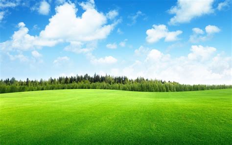 Green Grass Blue Sky Beautiful Nature Wallpaper For Desktop | PICS ...