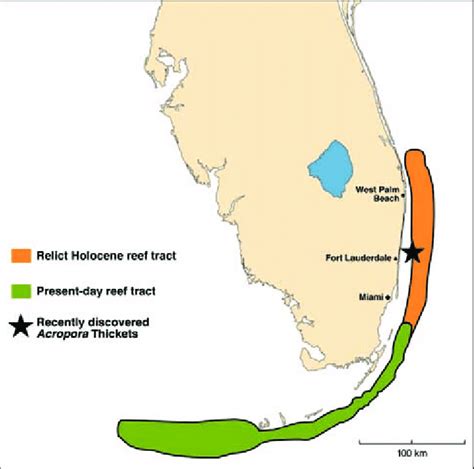 Coral Reef Map Florida - vrogue.co