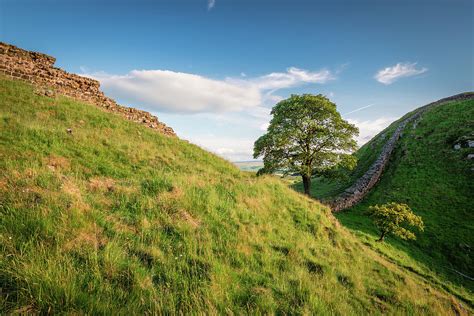 Hadrian's Wall at Sycamore Gap Photograph by David Head - Fine Art America