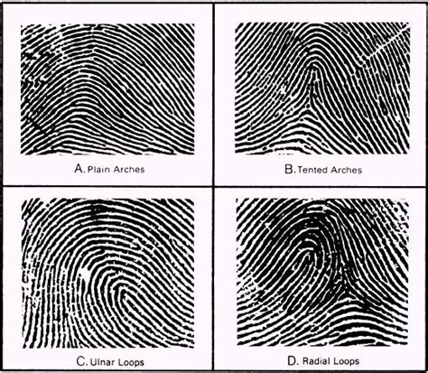 Patterns and Classifications