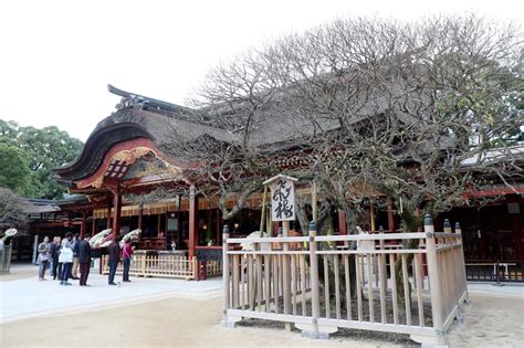 Plum Blossoms: Children Revive a Poet's Millennium-Old Love | JAPAN Forward