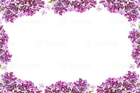 Branch of bright and colorful spring flowers 9896194 Stock Photo at Vecteezy