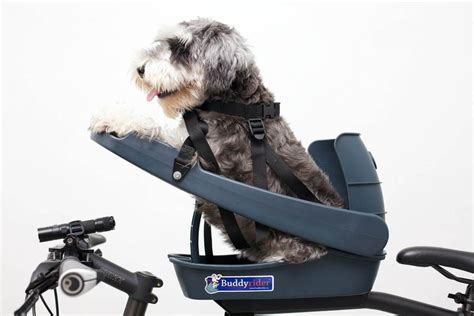 The Buddyrider™ dog bicycle seat is a fun way to safely take your dog along with you on bike ...