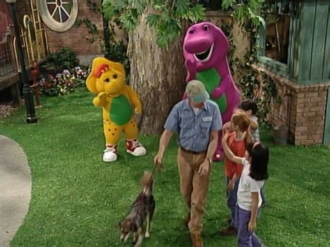 Barney and Friends • Season 7 • TV Show