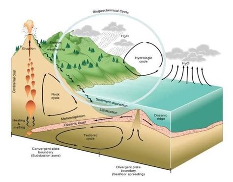 Daur Biogeokimia: Pengertian, Siklus Biogeokimia dan Contoh – Gramedia Literasi