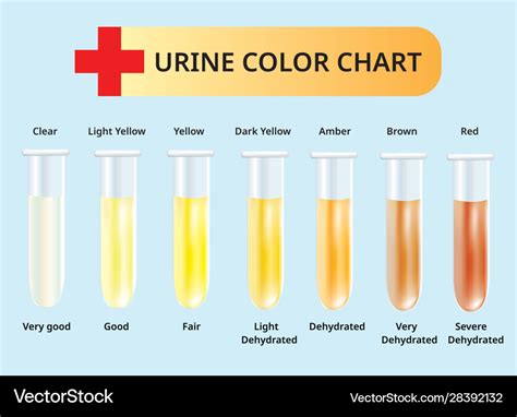 urine color chart and meaning hubpages urine color chart what color - what the colour of your ...