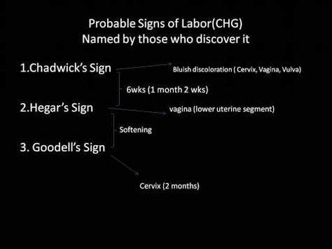 Image result for goodell's sign vs hegar's sign | Bsn nursing, Rn nurse ...