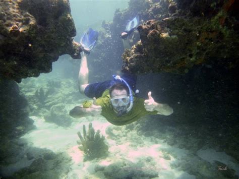 Key West Snorkeling Tours | Best Snorkel Trips In Key West FL