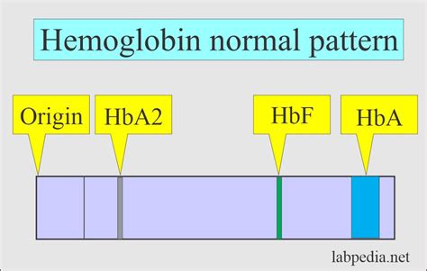 Fetal hemoglobin (HbF), Alkali resistant hemoglobin