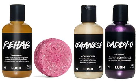 Vegan Shampoo and Conditioner Brands & Where to Find Them