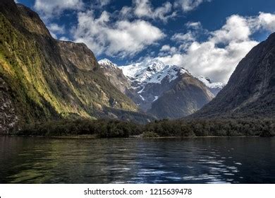 824 Milford Sound Wildlife Images, Stock Photos & Vectors | Shutterstock