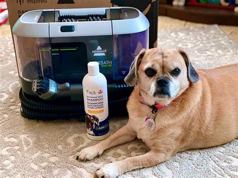 Bissell Barkbath Portable Dog Bath & Deep Cleaning System review - The ...