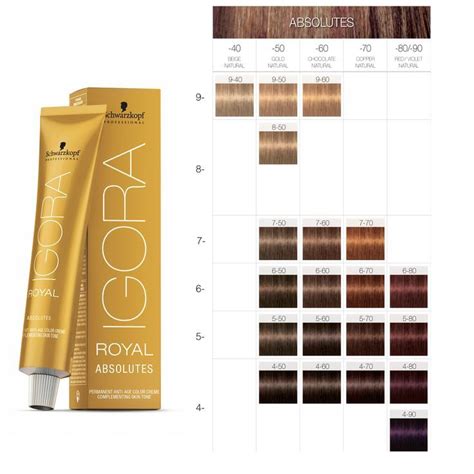 Schwarzkopf 10 Minute Color Chart