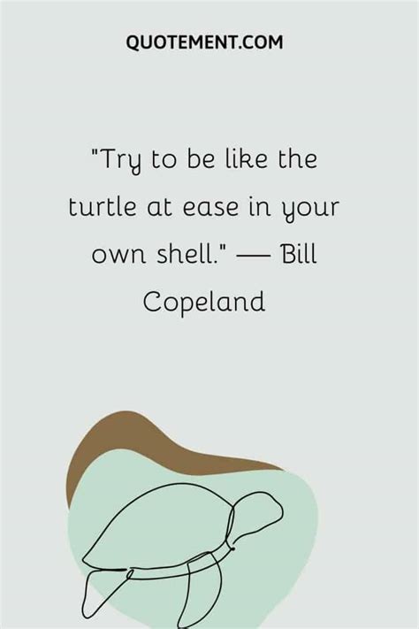 110 Turtle Quotes For Your Daily Dose Of Inspiration