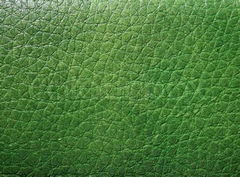 Green skin texture | Stock image | Colourbox