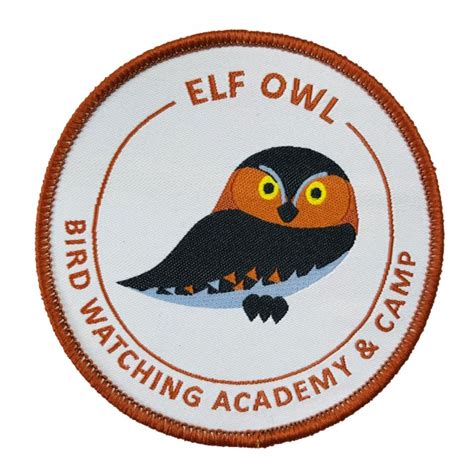 Elf Owl - Bird Watching Academy