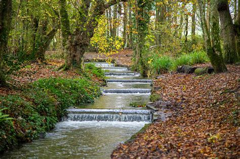 Cornwall's best woodland walks - Kilden Mor