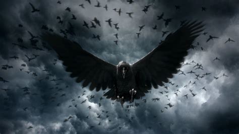 Crow Wallpapers HD - Wallpaper Cave