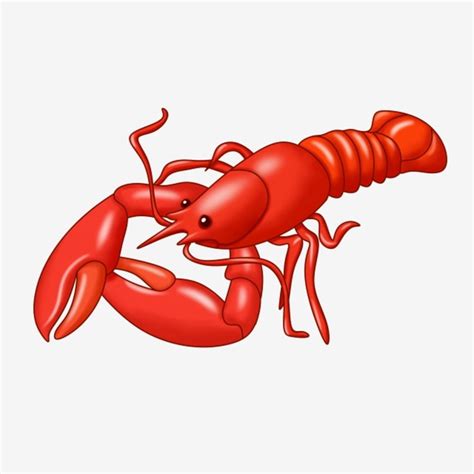 Red Lobster Clipart Vector, Cartoon Red Lobster Illustration, Lobster Clipart, Red, Lobster PNG ...