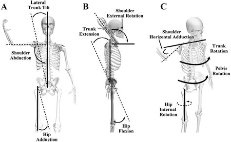 Definition of kinematics: (A) Lateral trunk tilt, shoulder abduction,... | Download Scientific ...