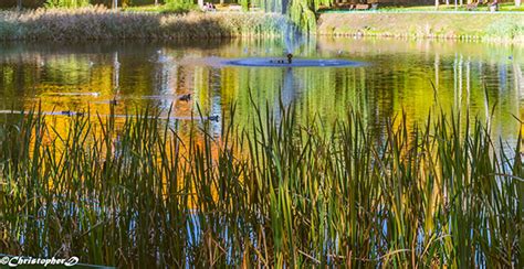 Autumn in the park on Behance