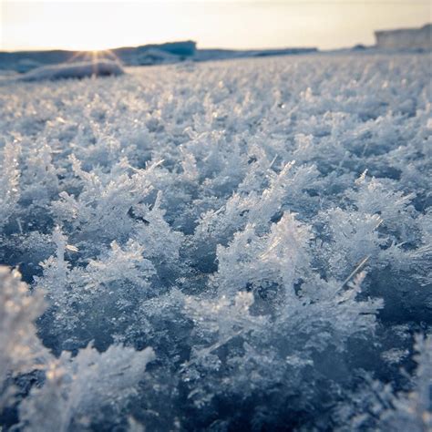 National Geographic on Instagram: “Photo by @nickcobbing Here’s a carpet of frost flowers from ...