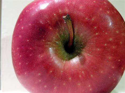 Apple Top Close Up Free Stock Photo - Public Domain Pictures