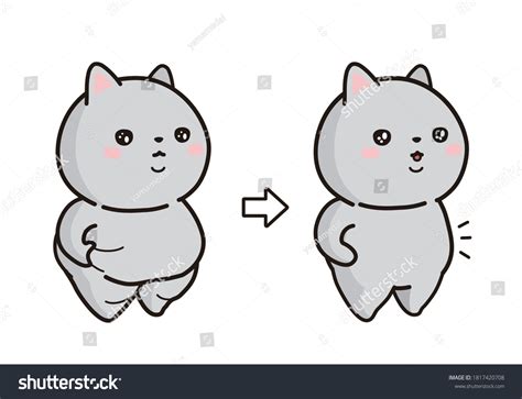 Cat Before After Weight Loss Stock Vector (Royalty Free) 1817420708 ...