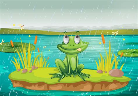 Rain Frog Care: Is Caring for a Rain Frog Hard? | PetMarvelous