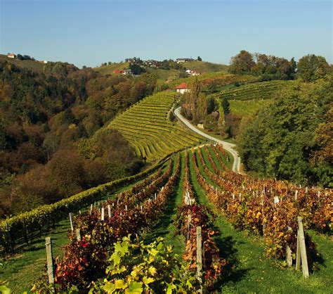 Wine country Austria