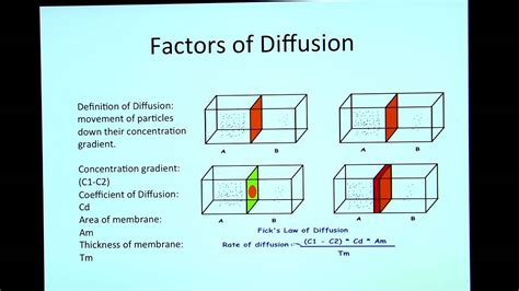 Factors of Diffusion - YouTube