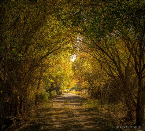 Bosque Del Apache, National Wildlife Refuge, New Mexico.