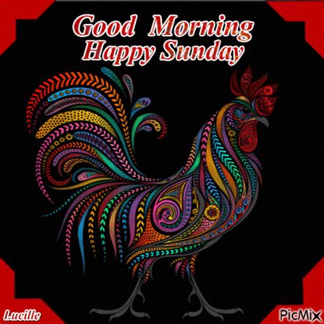 Rooster Good Morning Happy Sunday Pictures, Photos, and Images for ...