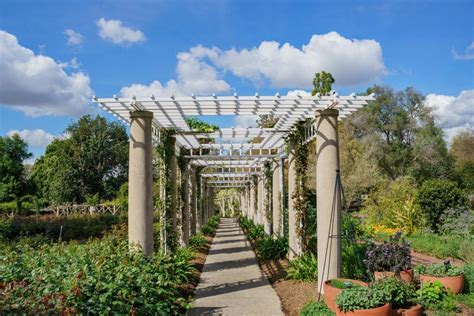 9 of The Most Beautiful Rose Gardens in California