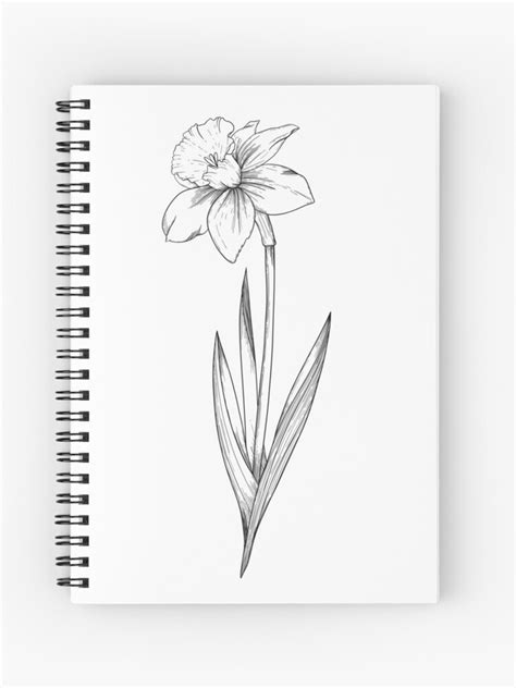 Daffodil Line Drawing Create a pretty spring drawing with this how to ...