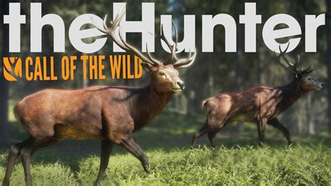 The Hunter Call of the Wild - Multiplayer Deer Hunting! - theHunter ...