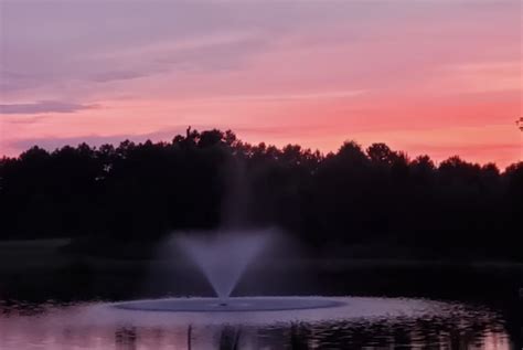 Pond Muck, Eliminate & Prevent Muck | Pond Lake Management