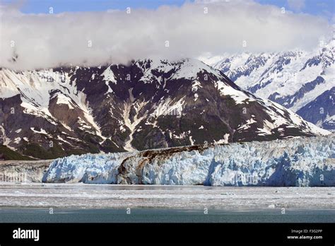 Icebergs with Hubbard glacier Saint Elias mountain Alaska Saint Elias national park ...