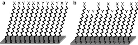 Representation of self-assembled monolayer of alkanethiolates with two... | Download Scientific ...