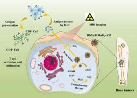 Tumor cell membrane-camouflaged responsive nanoparticles enable MRI-guided immuno-chemodynamic ...