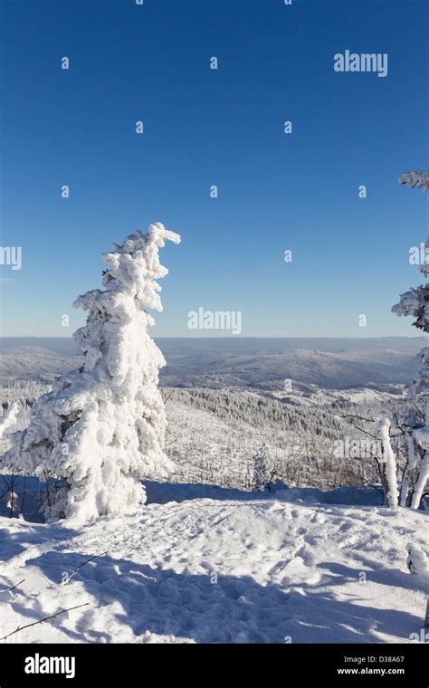 winter in bavarian forest, germany Stock Photo - Alamy