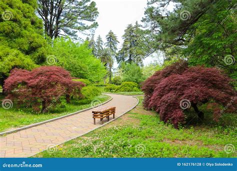 Beautiful View of Batumi Botanical Garden, Georgia Stock Photo - Image ...