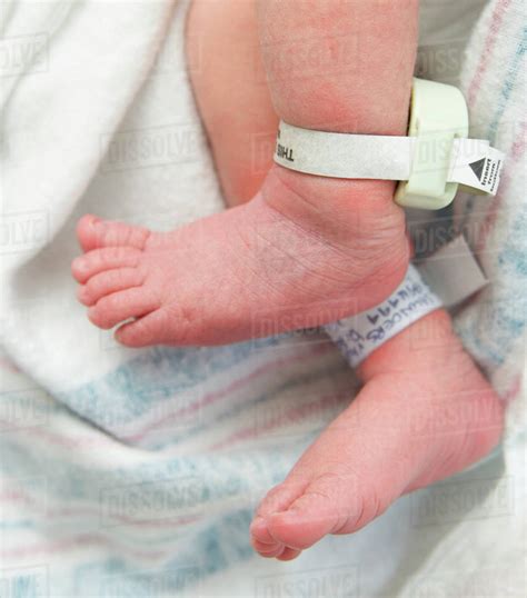 Newborn baby's feet with hospital tags - Stock Photo - Dissolve