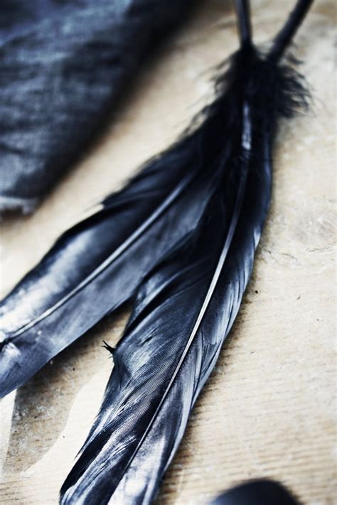 83 best images about feather on Pinterest | Folklore, Wisdom and Eagle feathers